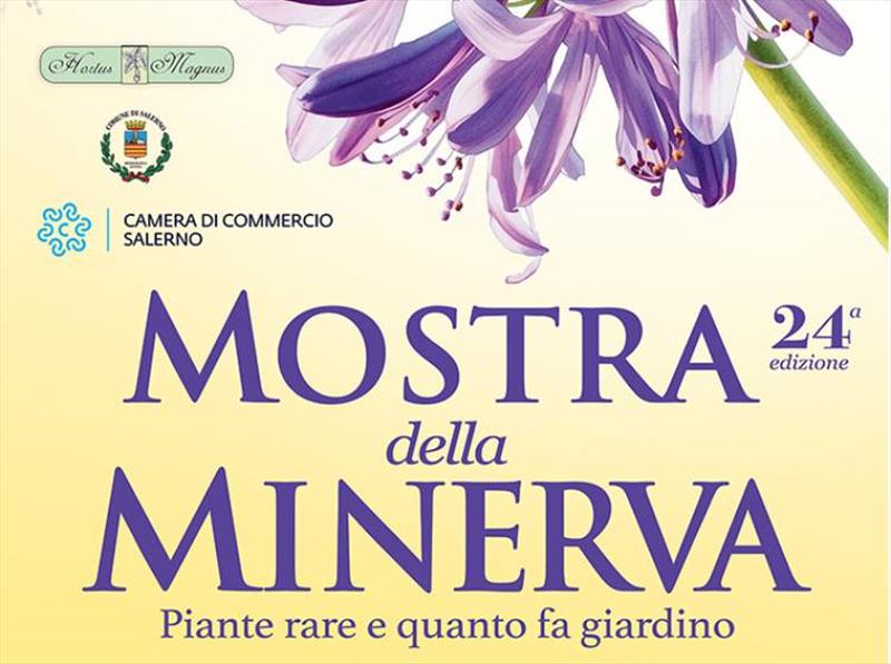 Mostra della minerva 2026 home thumb
